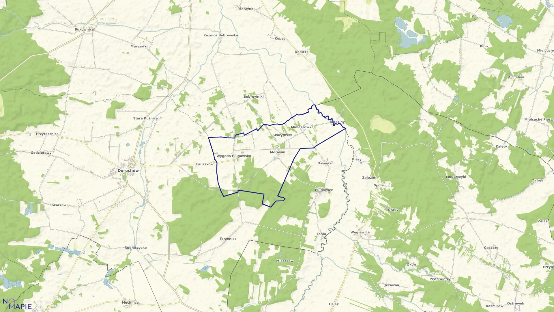 Mapa obrębu SKARYDZEW w gminie Doruchów